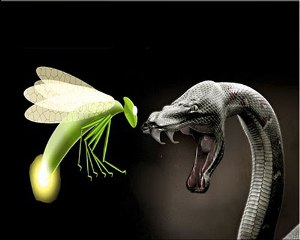serpent-and-firefly.jpg