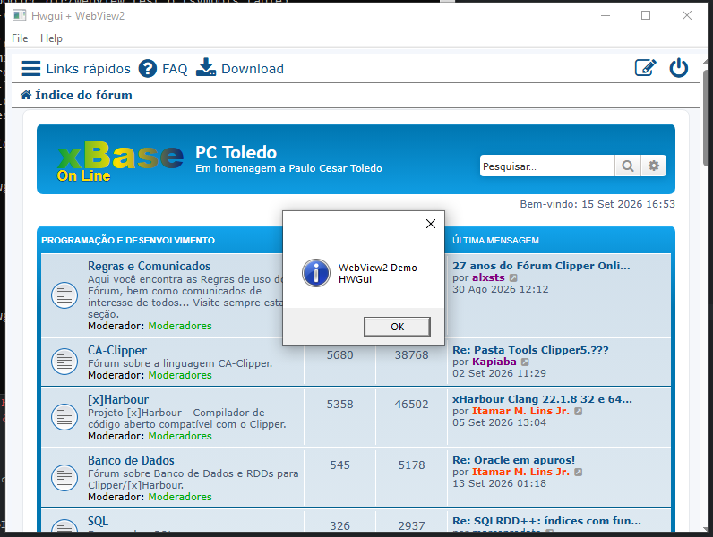 Capturar_webview2.PNG