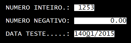Erro digitacao de data.png